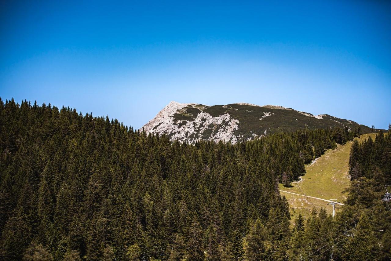 Apartments Zvoh, Krvavec, Ski-In, Ski-Out Cerklje na Gorenjskem Εξωτερικό φωτογραφία