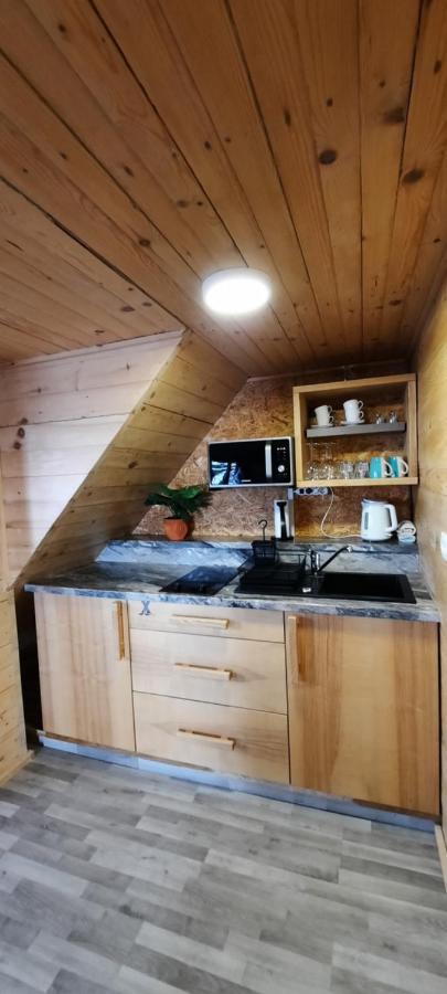 Apartments Zvoh, Krvavec, Ski-In, Ski-Out Cerklje na Gorenjskem Εξωτερικό φωτογραφία